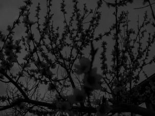 La semana en Zenda, en 10 tuits