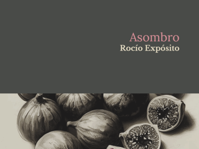 5 poemas de Asombro, de Rocío Expósito