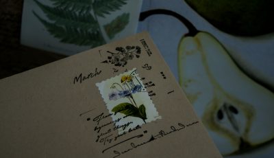 Doce libros de marzo