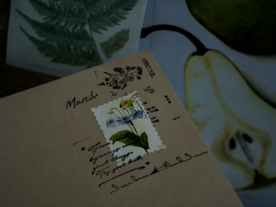 Doce libros de marzo