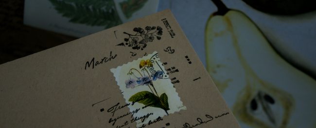 Doce libros de marzo