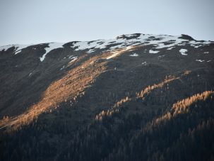 La semana en Zenda, en 10 tuits