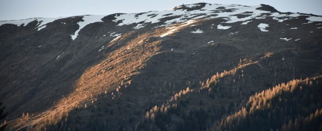 La semana en Zenda, en 10 tuits