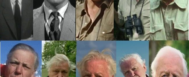 Sir David Attenborough: Cien años del abuelo del planeta