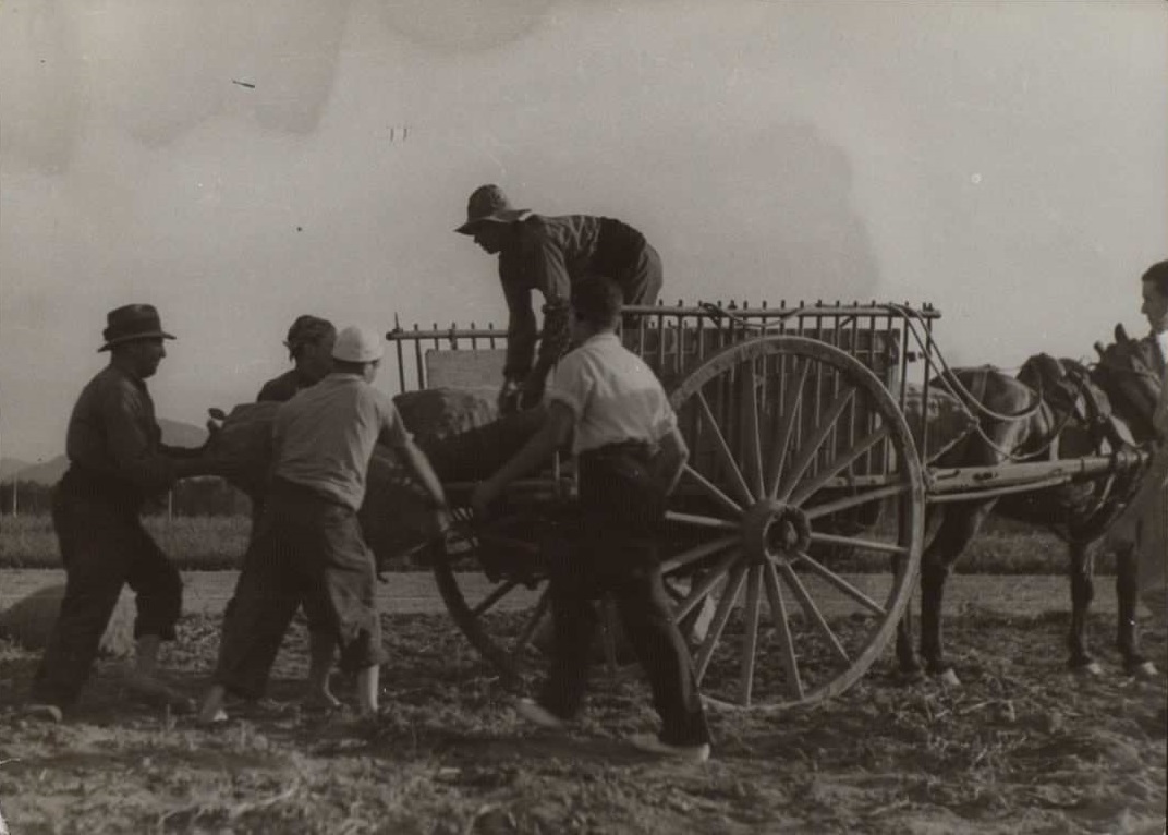 15 de abril de 1936: Discusión entre Pepe Mañas y su padre