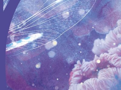 Zenda recomienda: digo cascada y el viento arde, de Iosune de Goñi