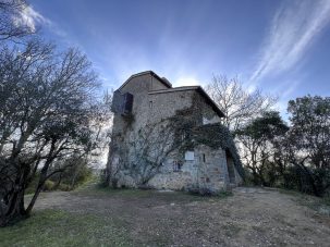 En la corte de Beatrice