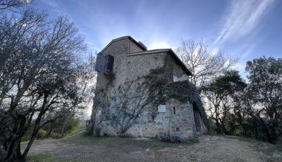 En la corte de Beatrice