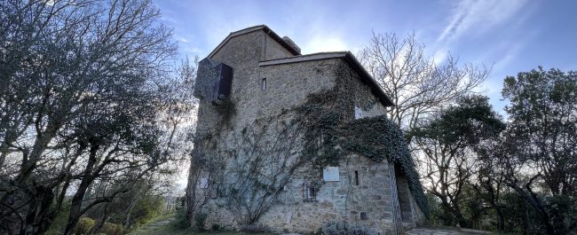 En la corte de Beatrice