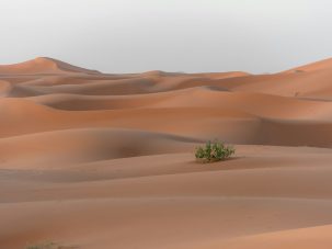 En el desierto, de Enrique Álvarez