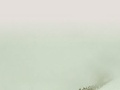 Zenda recomienda: La Antártica empieza aquí, de Benjamín Labatut