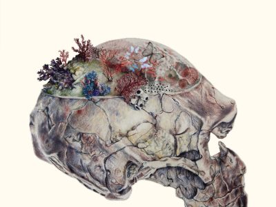 Una novela es un lugar