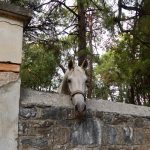 Georgina, las ovejas y el rocín que llamaba a la puerta