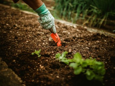 Instrucciones para que la tierra se vuelva costumbre