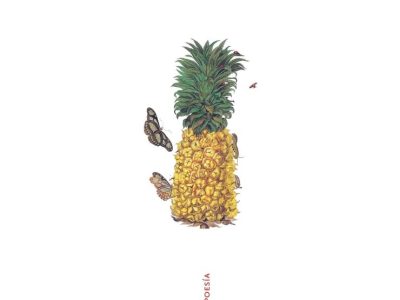 5 poemas de Cierta edad, de Sara Toro