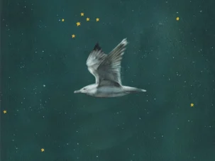 5 poemas de Si el mar no regresa, de Sara Búho