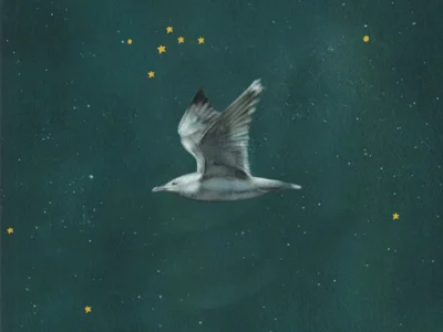 5 poemas de Si el mar no regresa, de Sara Búho