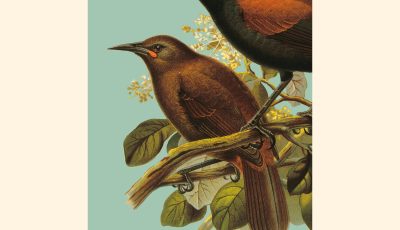 5 poemas de Sinceramente, de Margaret Atwood