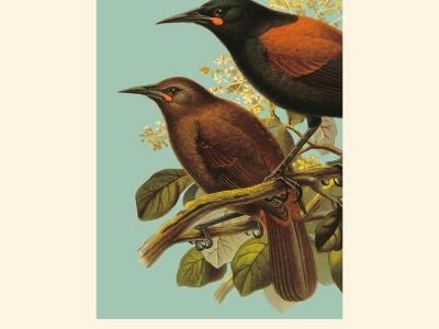 5 poemas de Sinceramente, de Margaret Atwood