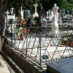 En una tarde azul, sube al espino…