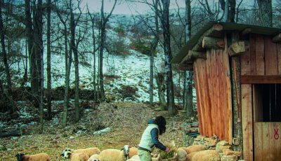 La simplicidad de una vida buena, o escucharse sin ruido