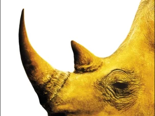 El trofeo, de Gaea Schoeters