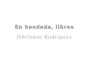 3 poemas de “En bandada, libres”, de Ildefonso Rodríguez