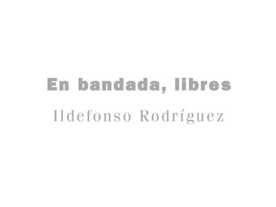 3 poemas de “En bandada, libres”, de Ildefonso Rodríguez