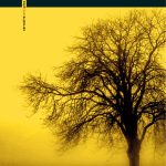 Zenda recomienda: Esta plaga de almas, de Mike McCormack