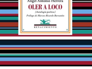 La locura que no tiene cura