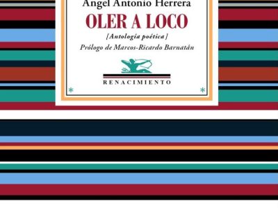 La locura que no tiene cura
