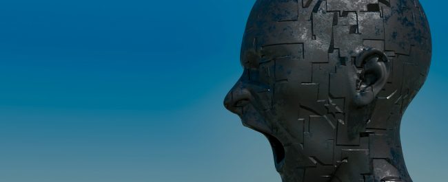 ¿El futuro nos necesita?