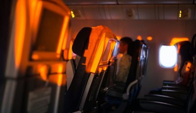 En el avión, de Ana María Shua