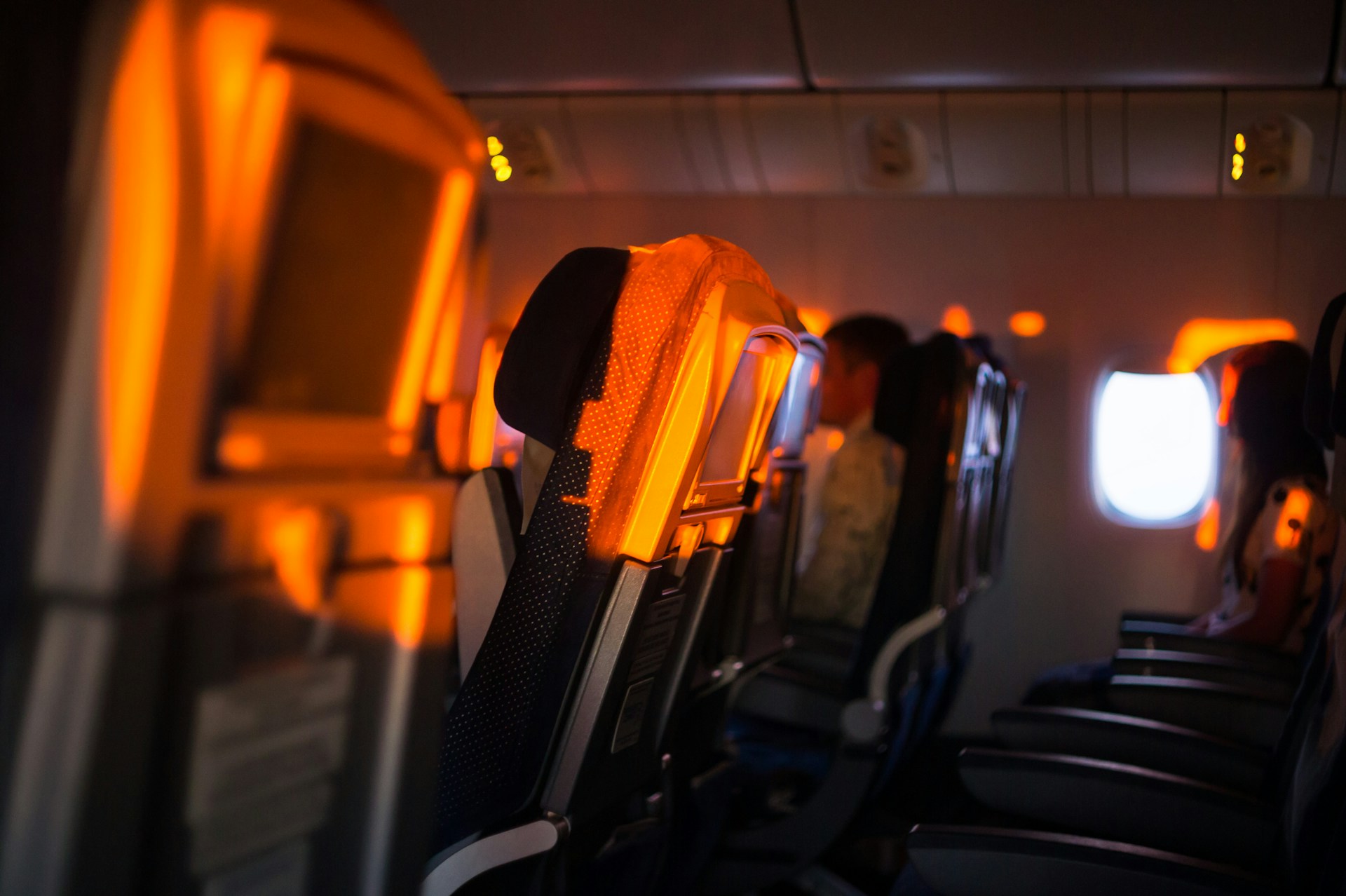 En el avión, de Ana María Shua