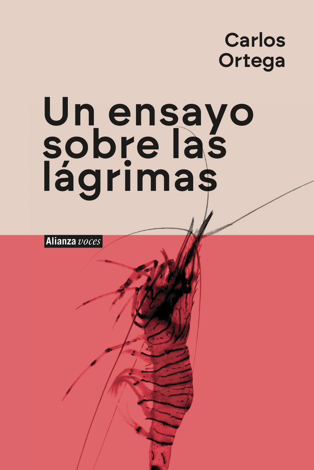 Carlos Ortega y la ineludible realidad
