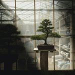 Ecosistema, de José María Merino