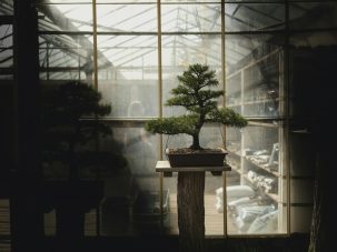 Ecosistema, de José María Merino