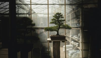 Ecosistema, de José María Merino