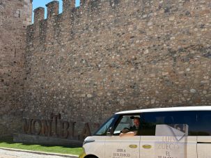 El mar y los libros (Diario de un viaje de novela, XV)