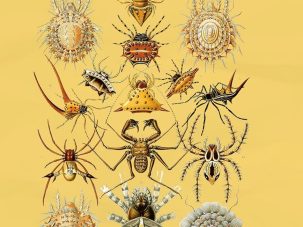 Zenda recomienda: Vida insecta, de Cristina Sánchez-Andrade
