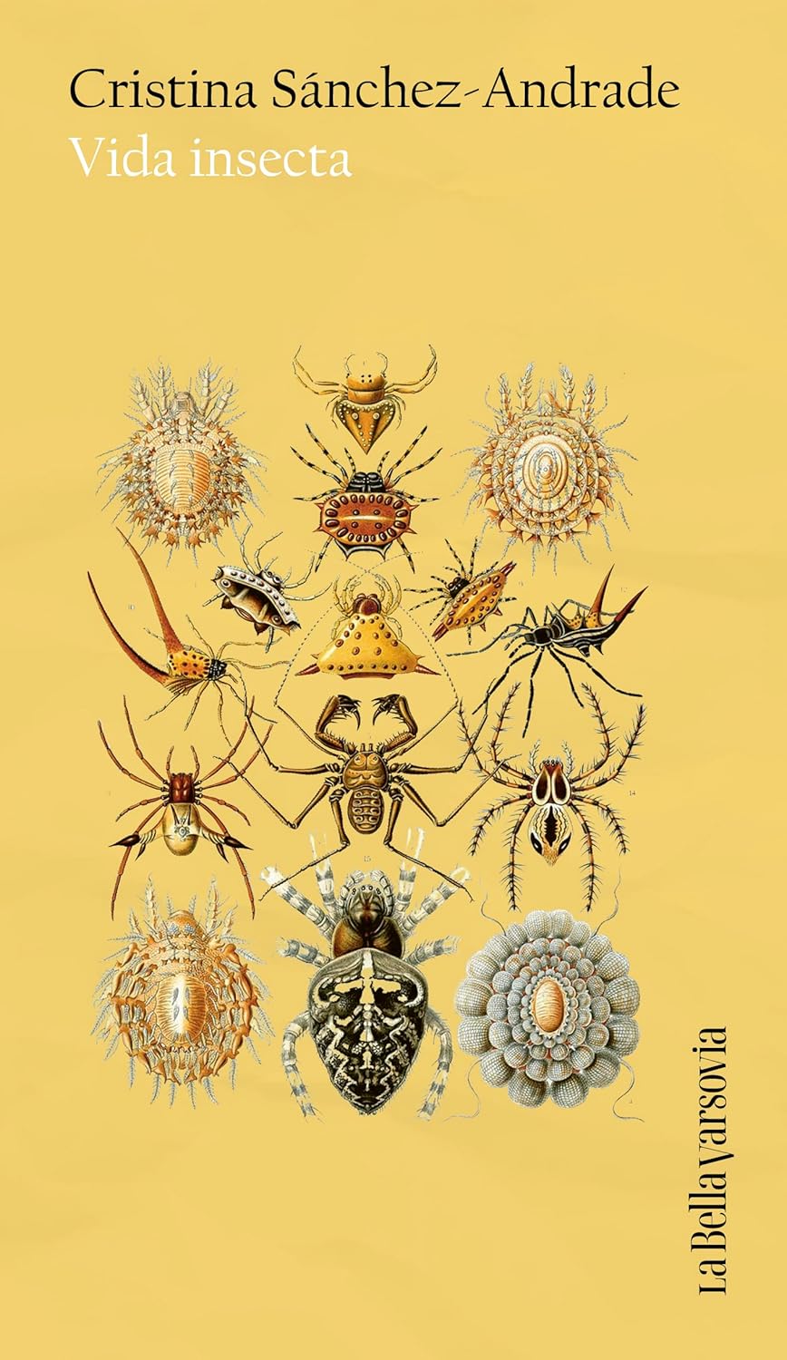 Zenda recomienda: Vida insecta, de Cristina Sánche