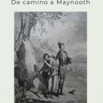 Una sátira irlandesa
