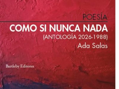 El estado poético de Ada Salas