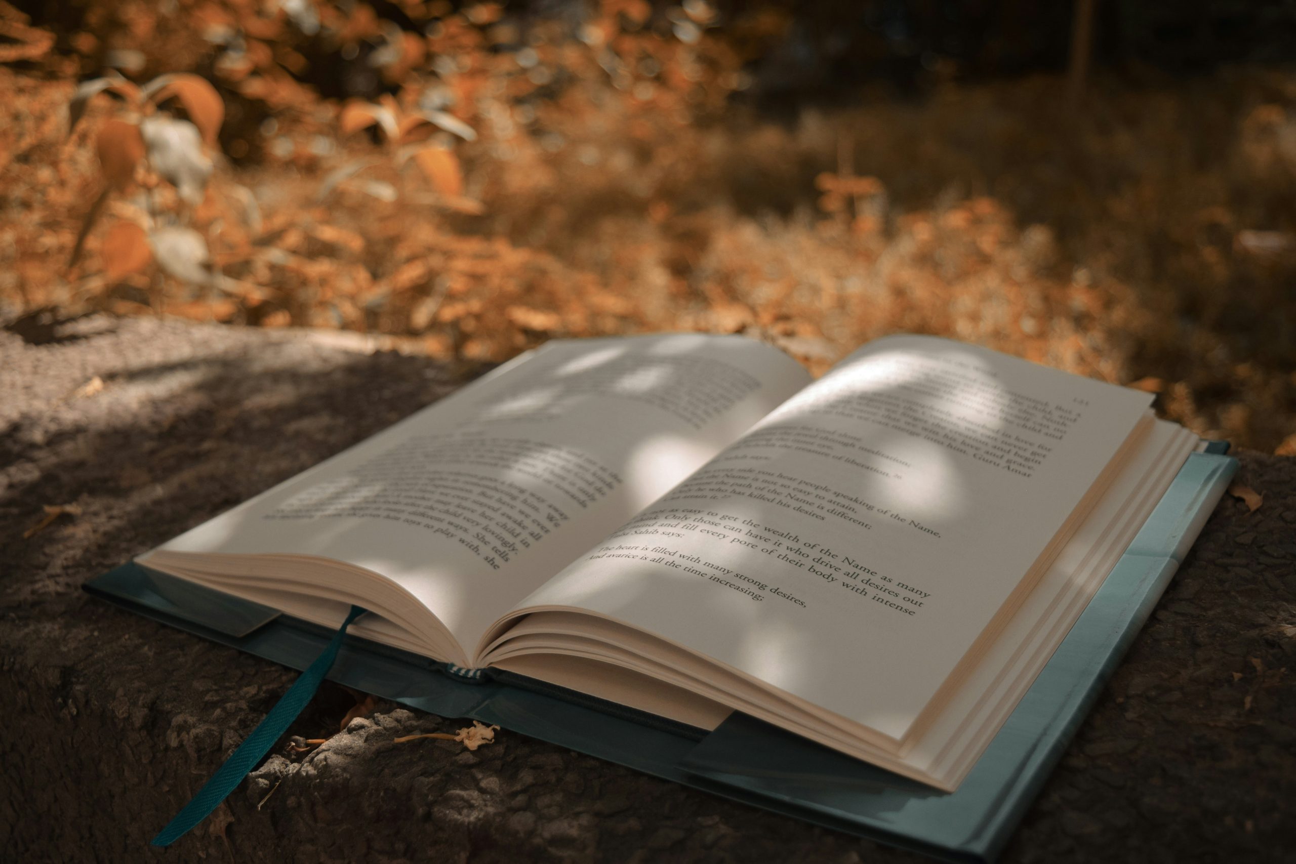 Por qué tiene éxito un libro