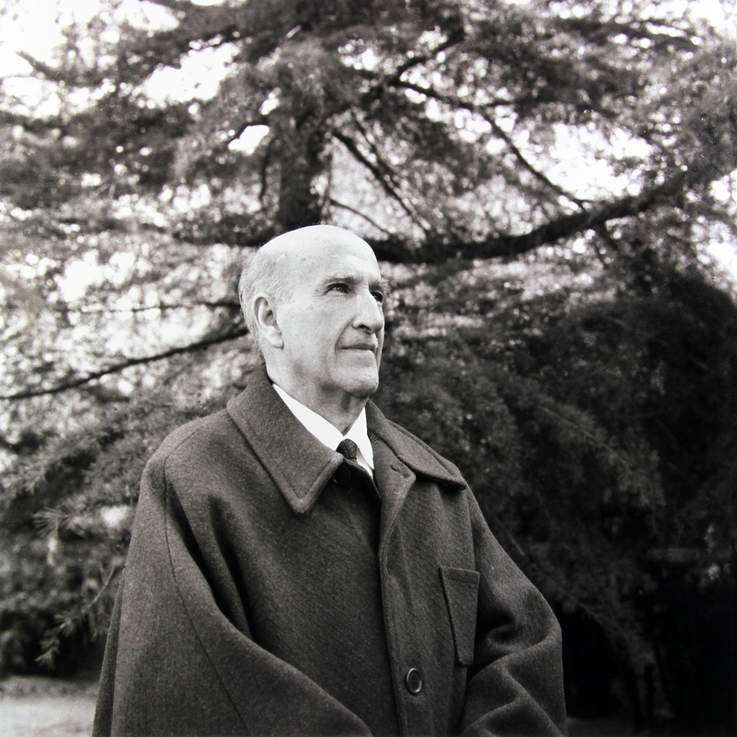 Vicente Aleixandre: fraternidad, sombra y revelación