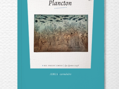 Plancton: arrojar la palabra al pozo