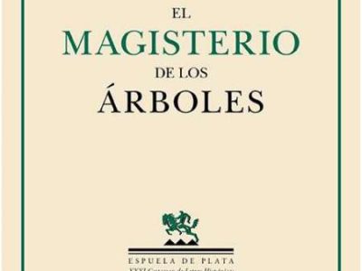 Como árboles que caminan
