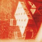 Zenda recomienda: Lobos, de Roberto Brodsky