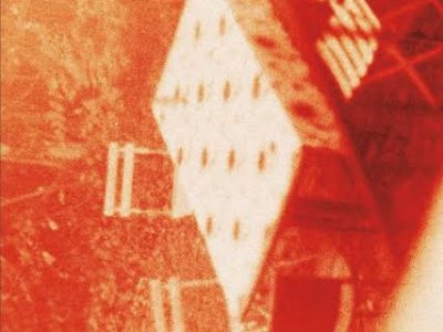 Zenda recomienda: Lobos, de Roberto Brodsky
