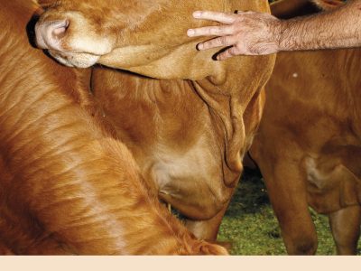 Zenda recomienda: La vida fuera de casa, de Kike Parra Veïnat